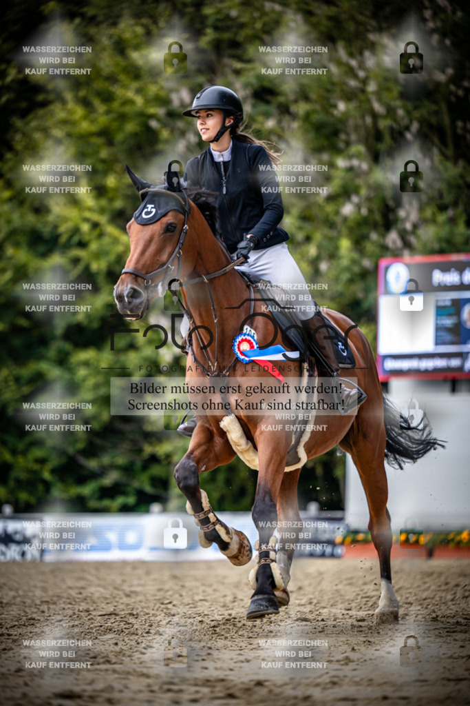 2026-09---Waldhof-11-0053 | Entdecke hochwertige Reitturnierfotos von Foto Oger. Professionell, emotional und authentisch – jetzt Lieblingsmomente im Shop bestellen.Deutschlandweite Turnierfotografie. - Realisiert mit Pictrs.com