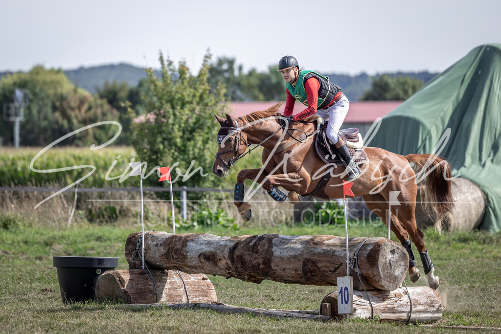 20250907-_3LI1258 | Tierfotografie Pferde, Hunde, Katzen, Haustiere.
Turnierfotografie Reitturniere, Reiten, Springreiten, Dressur in Hanau, dem Main-Kinzig-Kreis und dem Rhein-Main- Gebiet um Frankfurt