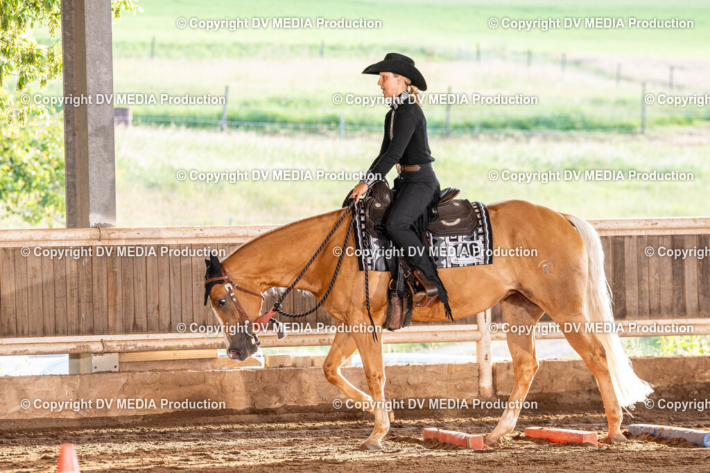 Erbach Tag 2-17 | dv-media-shop - Realisiert mit Pictrs.com