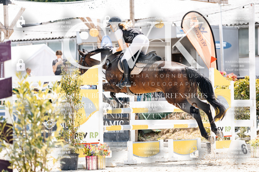 CK908142 | Turnierfotografie Pferdefotografie Trier Rheinland-Pfalz Pferdesport Reitsport Tierfotografie Sportfotografie Pferdevideo Pferdevideografie Equestrianvideography equestrianphotography  - Realisiert mit Pictrs.com