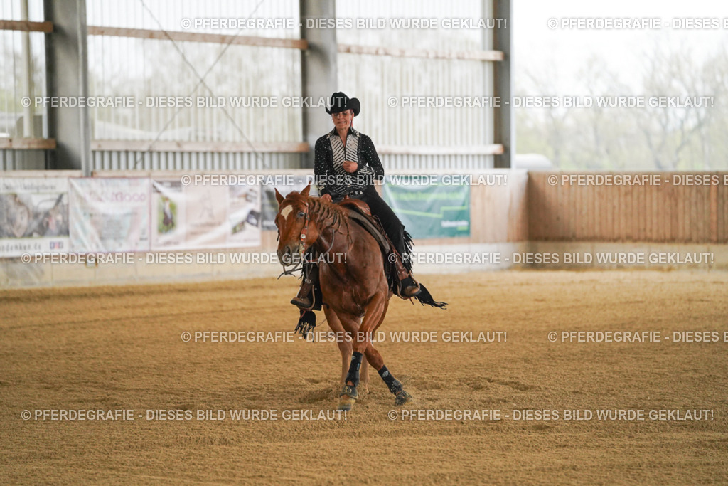 DSC08405 | Pferdegrafie