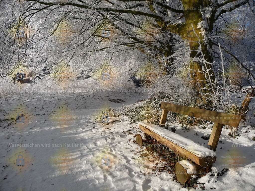 P1000212 | Fotoseite Wolkenblende - Das Hobby fotografieren begleitet mich schon  viele  Jahre. Auf den nächsten Seiten zeige ich ein paar Schnappschüsse der letzten Jahre und es kommen immer neue hinzu. Schau einfach mal rein. - Realisiert mit Pictrs.com