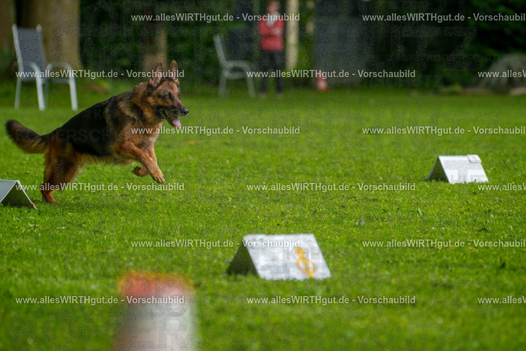 @allesWIRTHgut_Tierfotografie - www.allesWIRTHgut.de - 7R502479 | Professionelle Tierfotografie in Mönchengladbach von Daniel Wirth (allesWIRTHgut). Liebevolle & natürliche Bilder von Hunden & Katzen für unvergessliche Erinnerungen.