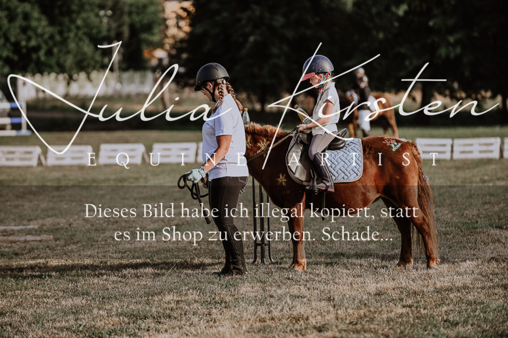 DSC_0148 | Pferde- und Turnierfotografie in Westsachsen. Pferdeportraits, Auftragszeichnungen und intuitive Kunst.