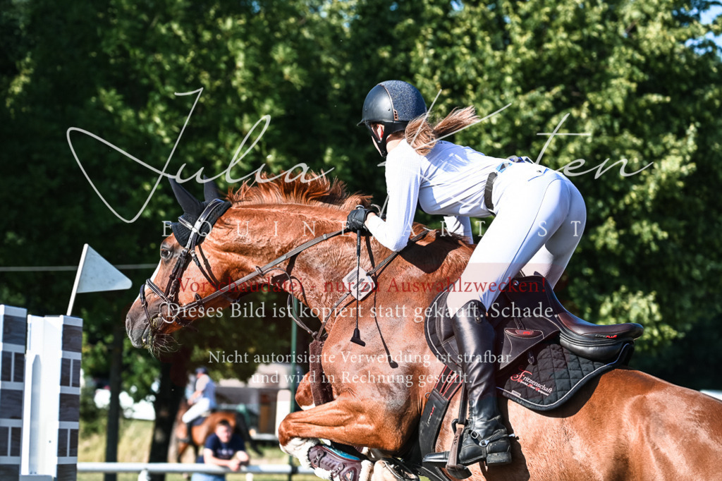 DSC_2770 | Pferde- und Turnierfotografie in Westsachsen. Pferdeportraits, Auftragszeichnungen und intuitive Kunst.