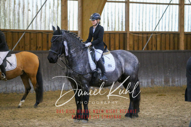 IMG_1632 | Turniersportfotografie; Pferdefotografie; Dressurfotografie