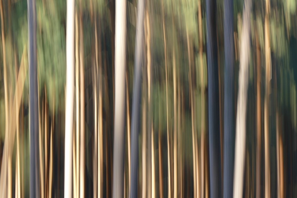 P4050775_b | Annaeherungen - Realisiert mit Pictrs.com