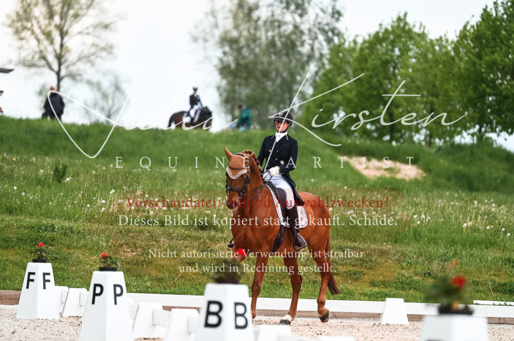 20230514_JK-Röhrsdorf-21-016 | Pferde- und Turnierfotografie in Westsachsen. Pferdeportraits, Auftragszeichnungen und intuitive Kunst.