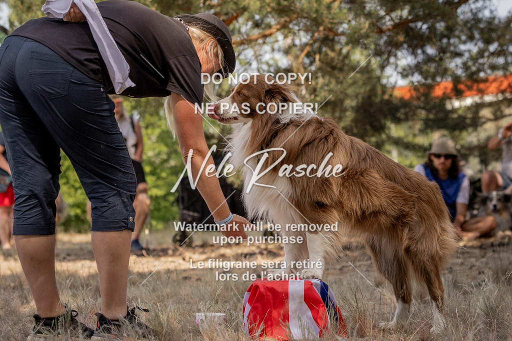 nelerasche_soDD2_132 | nelerasche