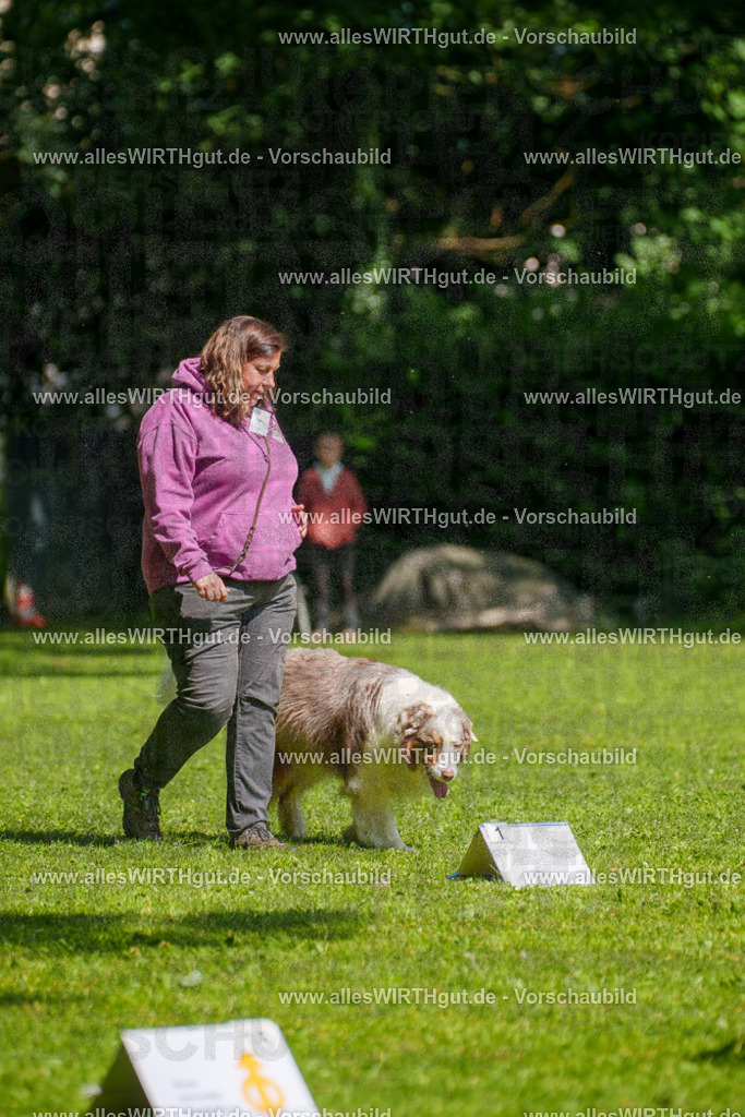 @allesWIRTHgut_Tierfotografie - www.allesWIRTHgut.de - 7R503259 | Professionelle Tierfotografie in Mönchengladbach von Daniel Wirth (allesWIRTHgut). Liebevolle & natürliche Bilder von Hunden & Katzen für unvergessliche Erinnerungen.