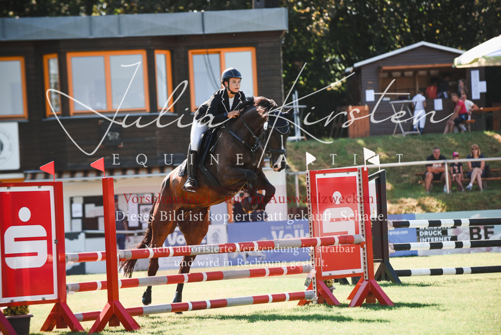DSC_2507 | Pferde- und Turnierfotografie in Westsachsen. Pferdeportraits, Auftragszeichnungen und intuitive Kunst.