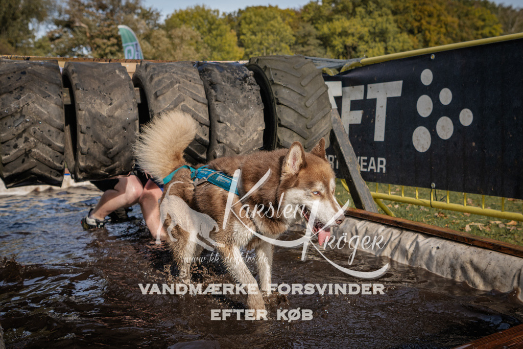 1404_ZZ93966 | kk-dogfotos