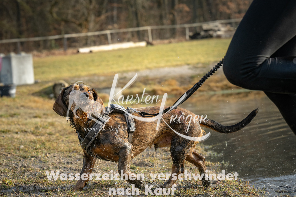0914_ZZ90483 | kk-dogfotos