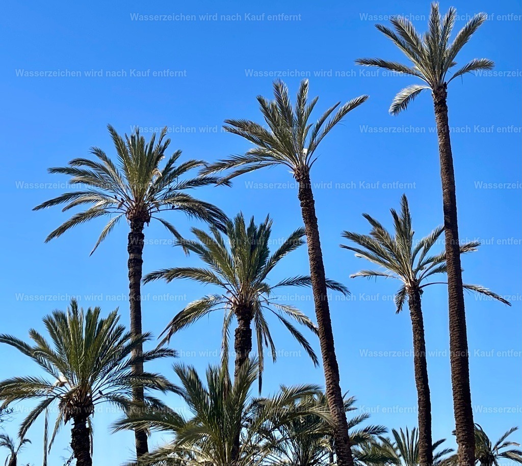 IMG_4007 | heikomoeller - Realisiert mit Pictrs.com