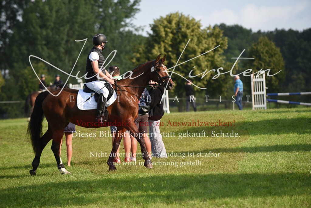 DSC_8561 | Pferde- und Turnierfotografie in Westsachsen. Pferdeportraits, Auftragszeichnungen und intuitive Kunst.