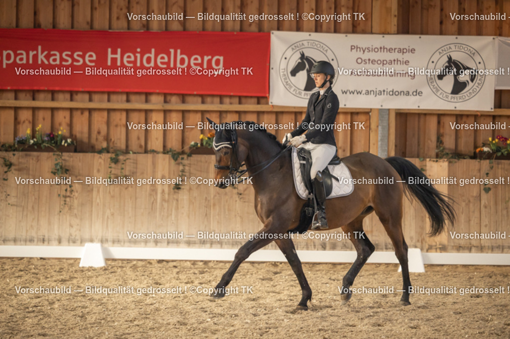 _D5A3387 | Emotionale Pferde- & People-Fotografie rund um Heidelberg, Leimen & Umgebung. Natürliche Fotos von Pferd, Mensch & Familie. Jetzt Termin sichern!