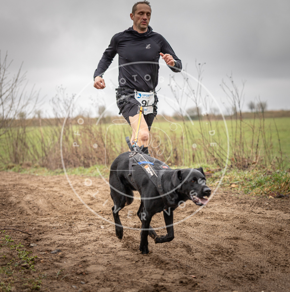 DV3A9972 | Hundefotografie, Tierfotograf, Pfotenfotografie, Fotoshooting Hund, Hunde Portrait, Hundesport, Hundeportraits, Heideshooting, Hunde, Sportfotograf, Hundefotograf, Turnierhundsport, THS,  - Realisiert mit Pictrs.com