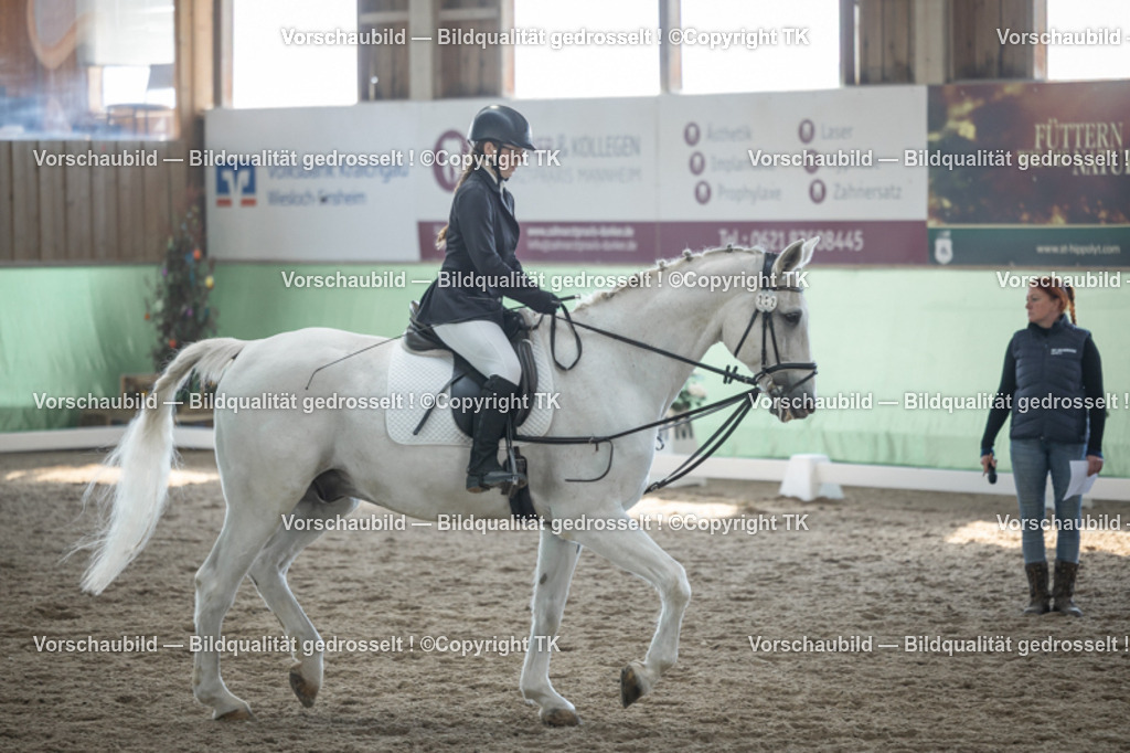 _D5A8715 | Emotionale Pferde- & People-Fotografie rund um Heidelberg, Leimen & Umgebung. Natürliche Fotos von Pferd, Mensch & Familie. Jetzt Termin sichern!