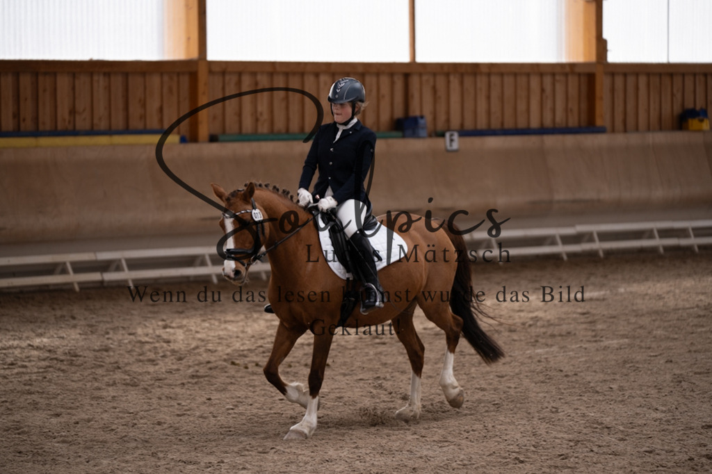 A7V09375 | Pferdefotograf