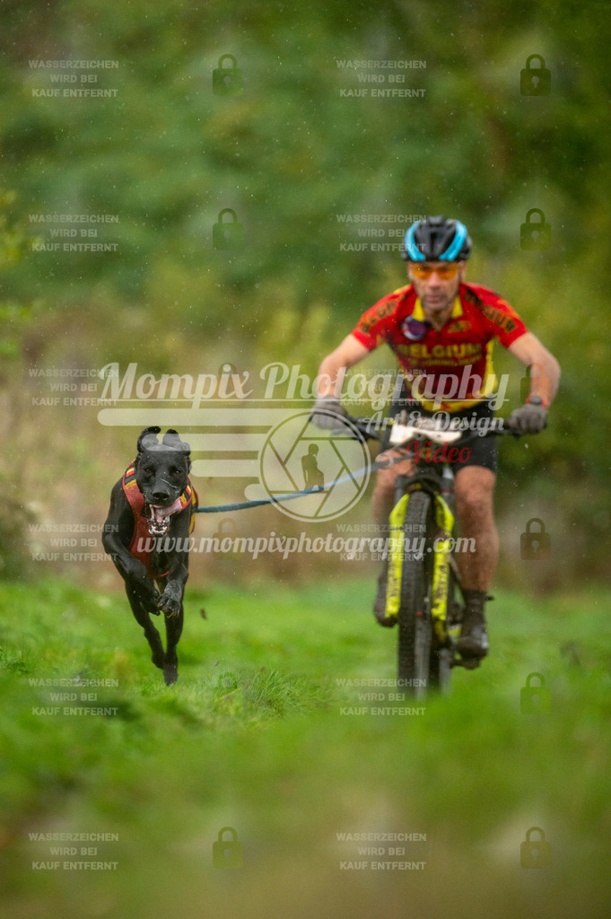 TSB_2023_E6_Bike-6 | PayLife