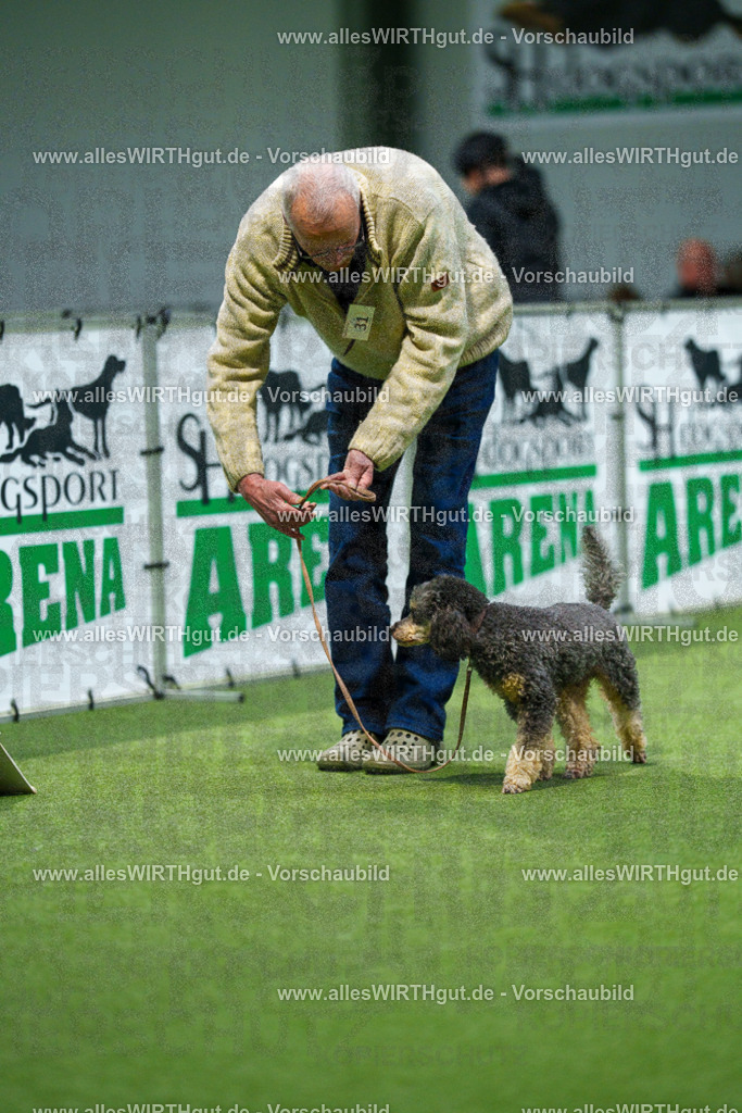 7R505700 | Professionelle Tierfotografie in Mönchengladbach von Daniel Wirth (allesWIRTHgut). Liebevolle & natürliche Bilder von Hunden & Katzen für unvergessliche Erinnerungen.
