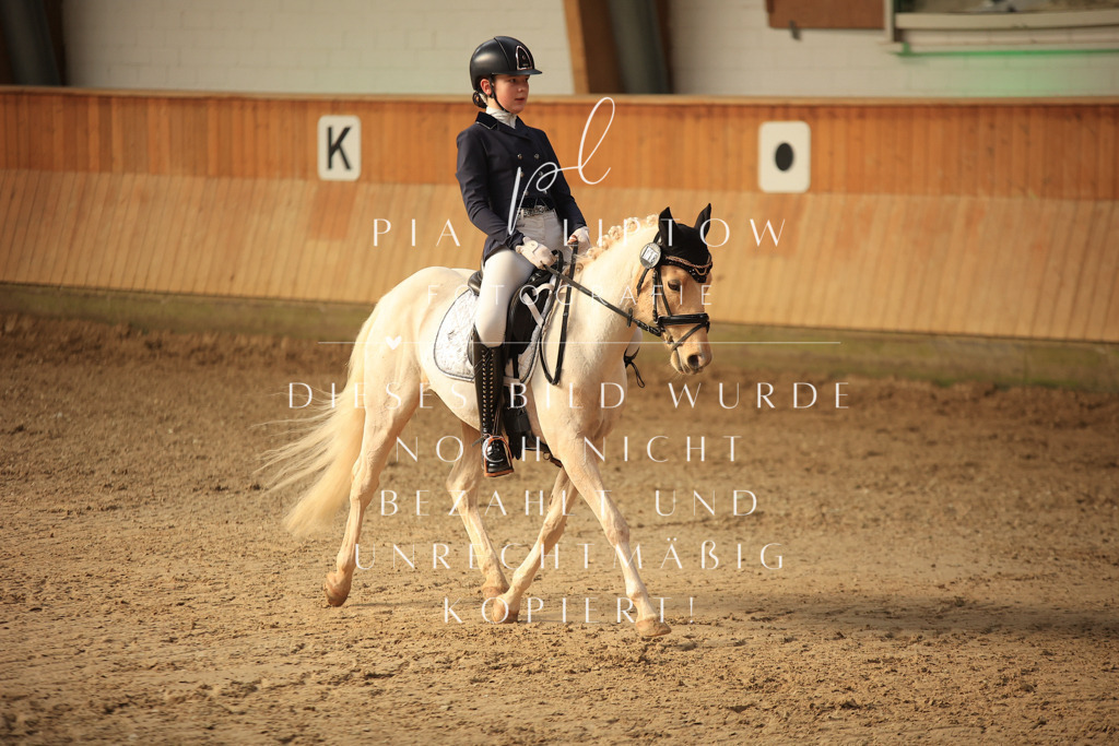 IMGT1525 | pl-fotografie