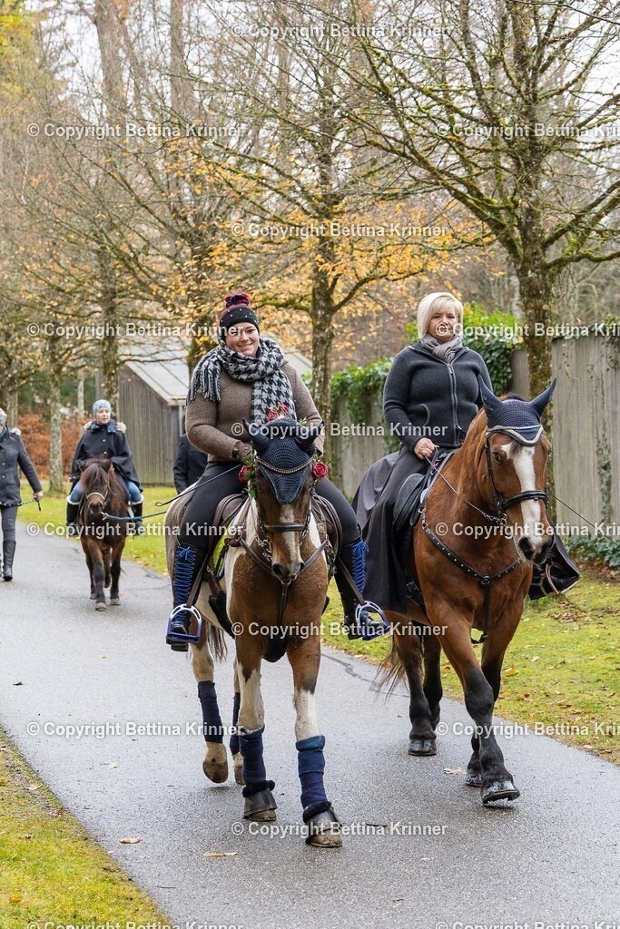 LL25-265 | foto-bettina-krinner - Realisiert mit Pictrs.com