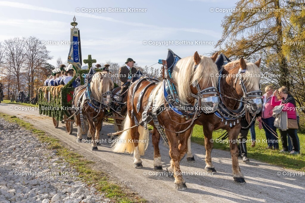 LBT24-1530 | foto-bettina-krinner - Realisiert mit Pictrs.com