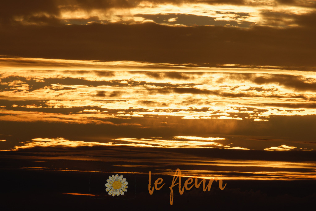 DSC_0008-NEF_DxO_HQ | Dies ist der Shop von Florian Blum - le fleuri. Langenthal, Bern, Schweiz. Sie können hier meine oder ihre eigenen Fotos als Fotoprodukte kaufen. Tassen, Schlüsselanhänger, Taschen etc. können Sie hier gestalten.  - Realisiert mit Pictrs.com