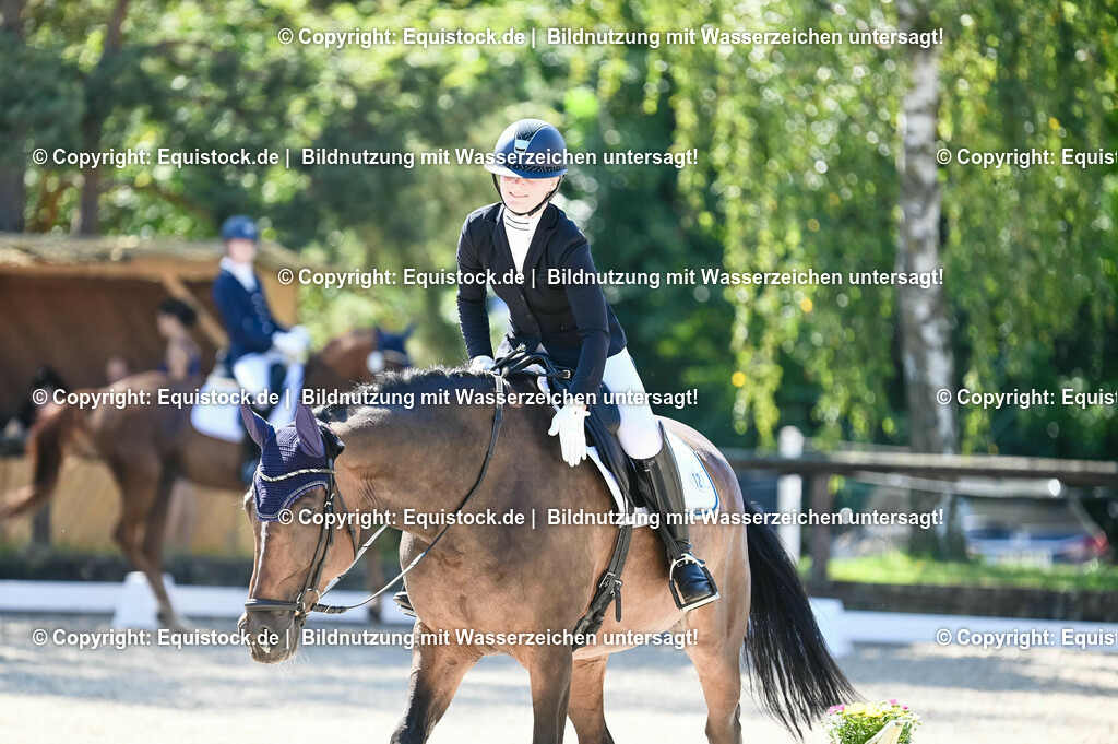 20230908_06_Dressur-L-Trense_0492 | equistock