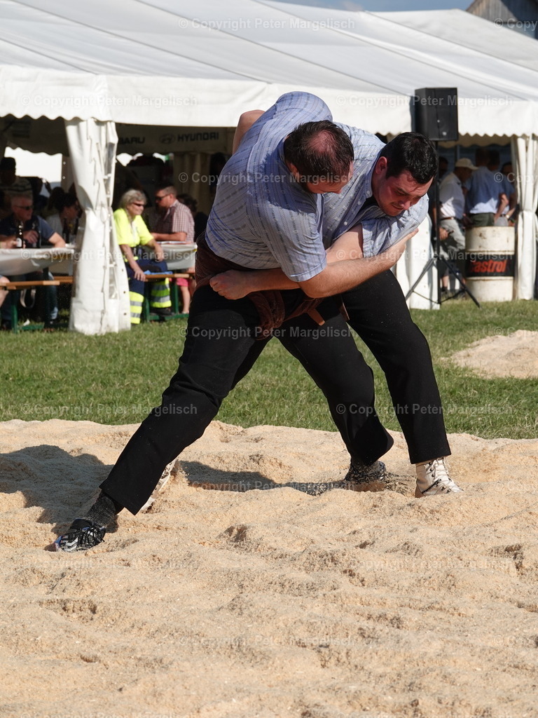 DSC05194 | Schwingen - Realisiert mit Pictrs.com