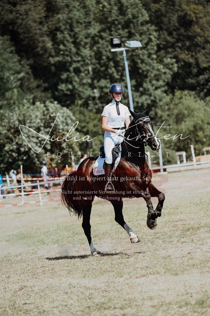 DSC_0046 | Pferde- und Turnierfotografie in Westsachsen. Pferdeportraits, Auftragszeichnungen und intuitive Kunst.