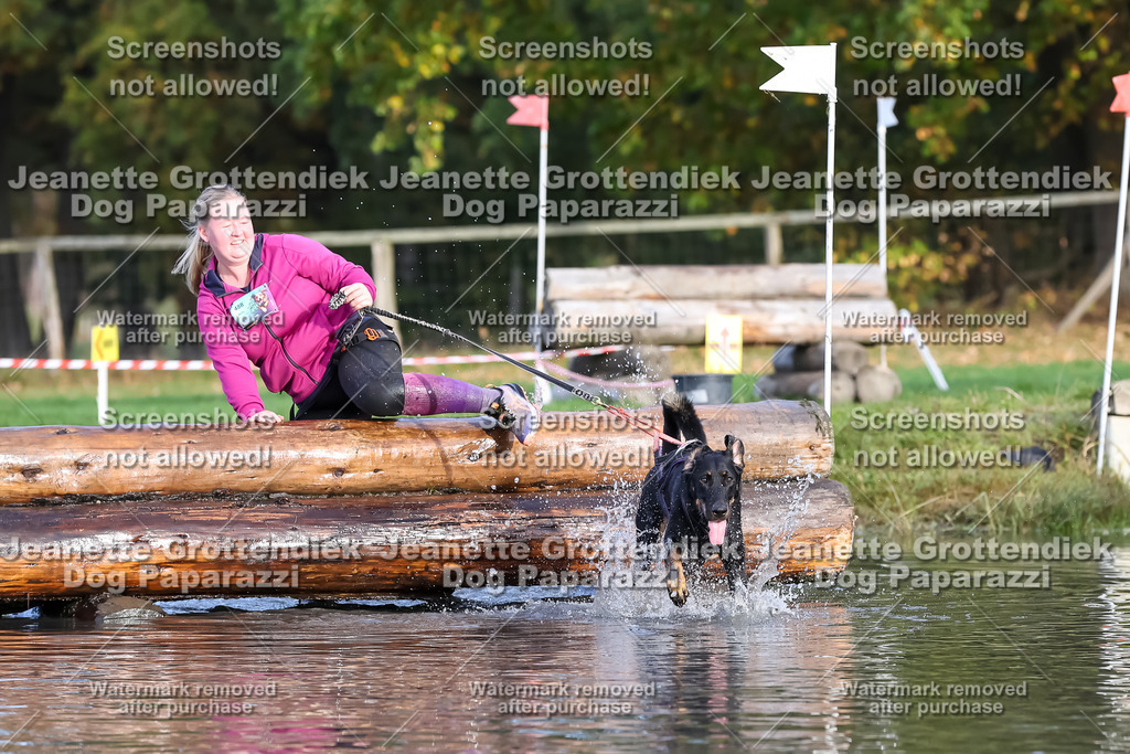 Dog Paparazzi - Strongdog 10-25-7061 | Dog Paparazzi Jeanette Grottendiek Fotografie & Videografie - Realisiert mit Pictrs.com