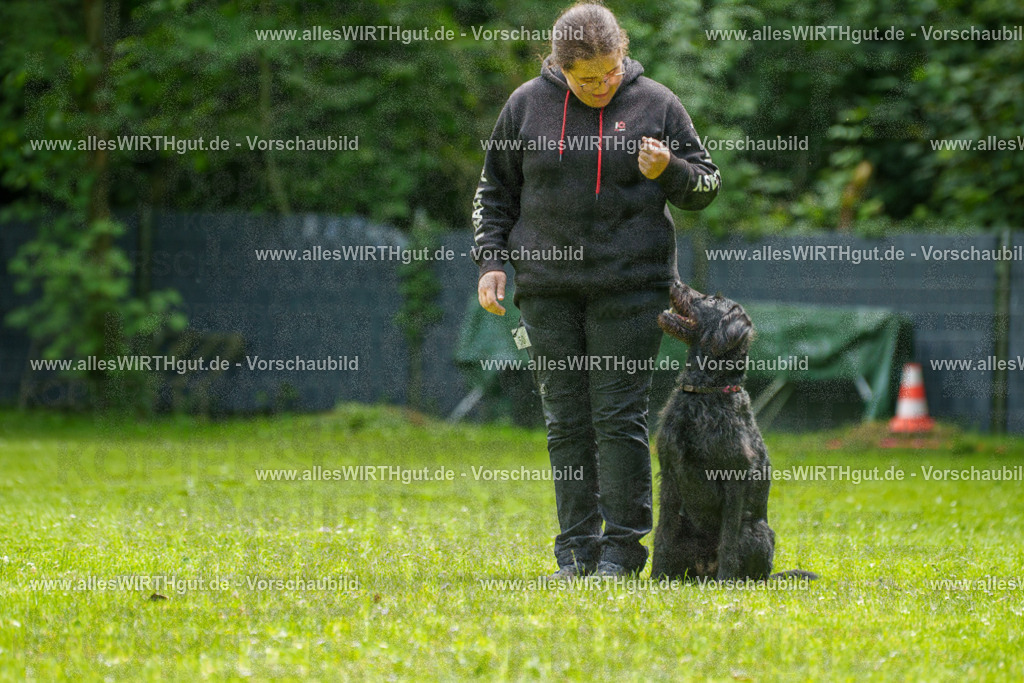 @allesWIRTHgut_Tierfotografie - www.allesWIRTHgut.de - 7R500752 | Professionelle Tierfotografie in Mönchengladbach von Daniel Wirth (allesWIRTHgut). Liebevolle & natürliche Bilder von Hunden & Katzen für unvergessliche Erinnerungen.