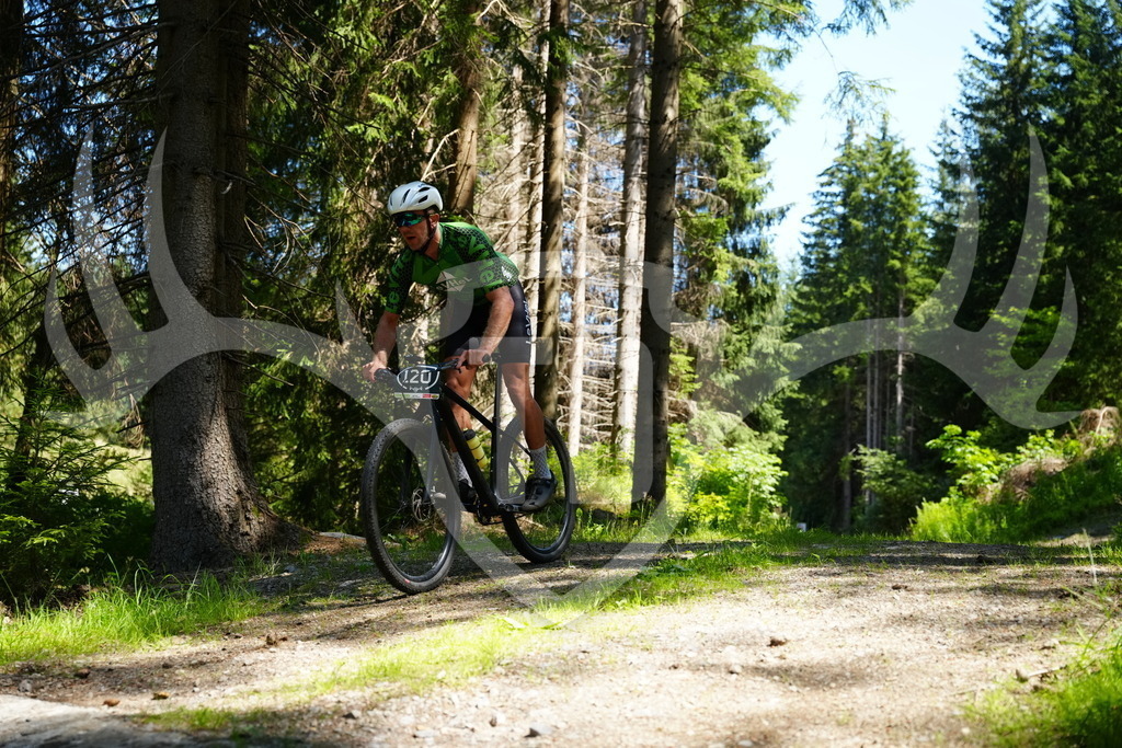 FC101482 | Fotogalerie der Treibjagd im Dunkelwald - Dein MTB Etappenrennen im Erzgebirge - Realisiert mit Pictrs.com