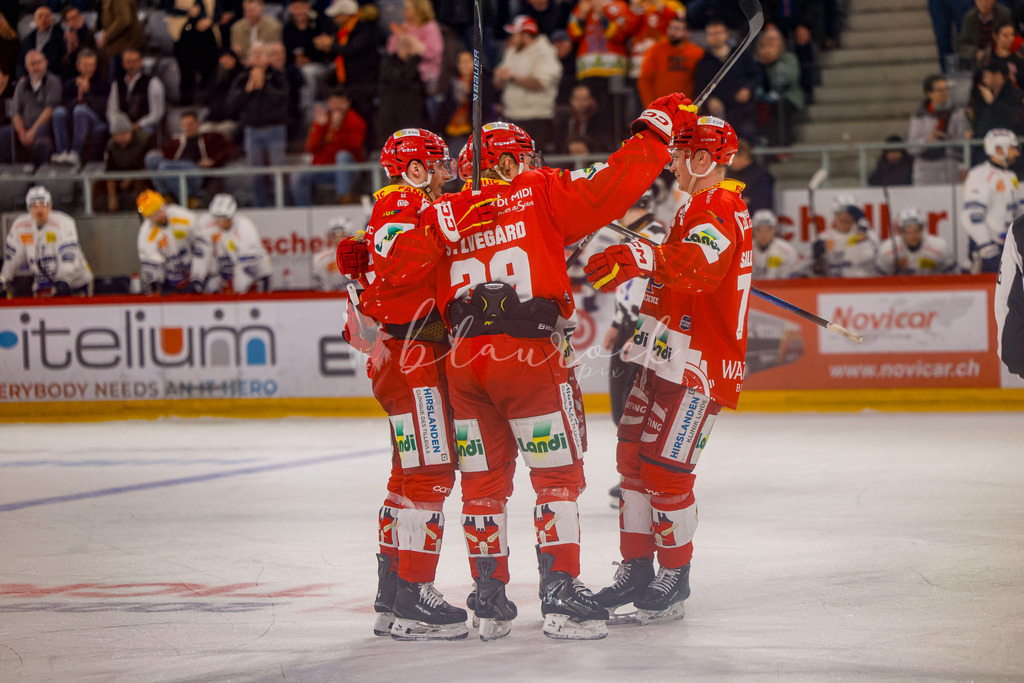 EHCB vs HCAP 20260115_wb-4767 | Sportbilder, Sportfotograf, Hochzeits- und Eventfotografin, Flugshows, Portraits und Tiershooting, Aviation, Downhill, Nationalleague, Swissleague, International