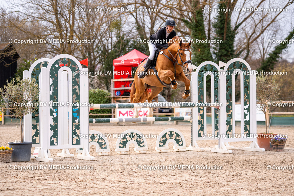 Kranichstein Tag 2-360 | dv-media-shop - Realisiert mit Pictrs.com