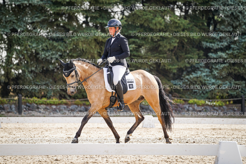 DSC06746 | Pferdegrafie