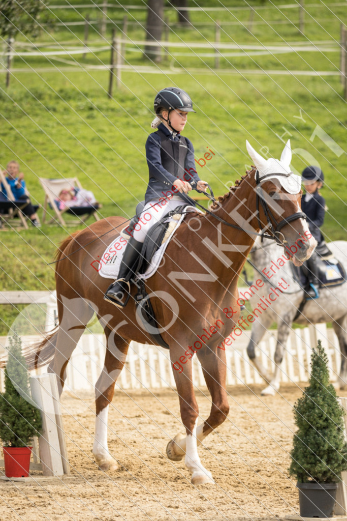 CON_0201 | Sport-, Event- und Tierfotos in Profiqualität. Einfach auswählen, bestellen und herunterladen. Dein Moment – perfekt festgehalten.