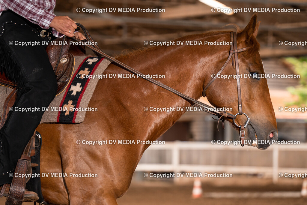 Erbach Tag 1-058 | dv-media-shop - Realisiert mit Pictrs.com