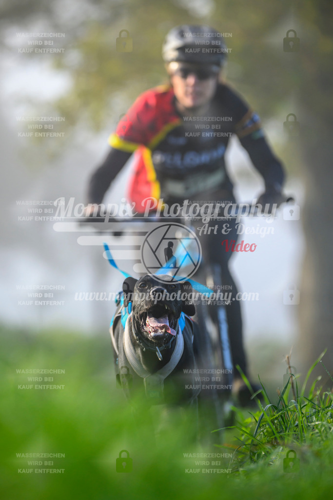 MompixPhotography_20TSB_E3_Bike-113 | PayLife