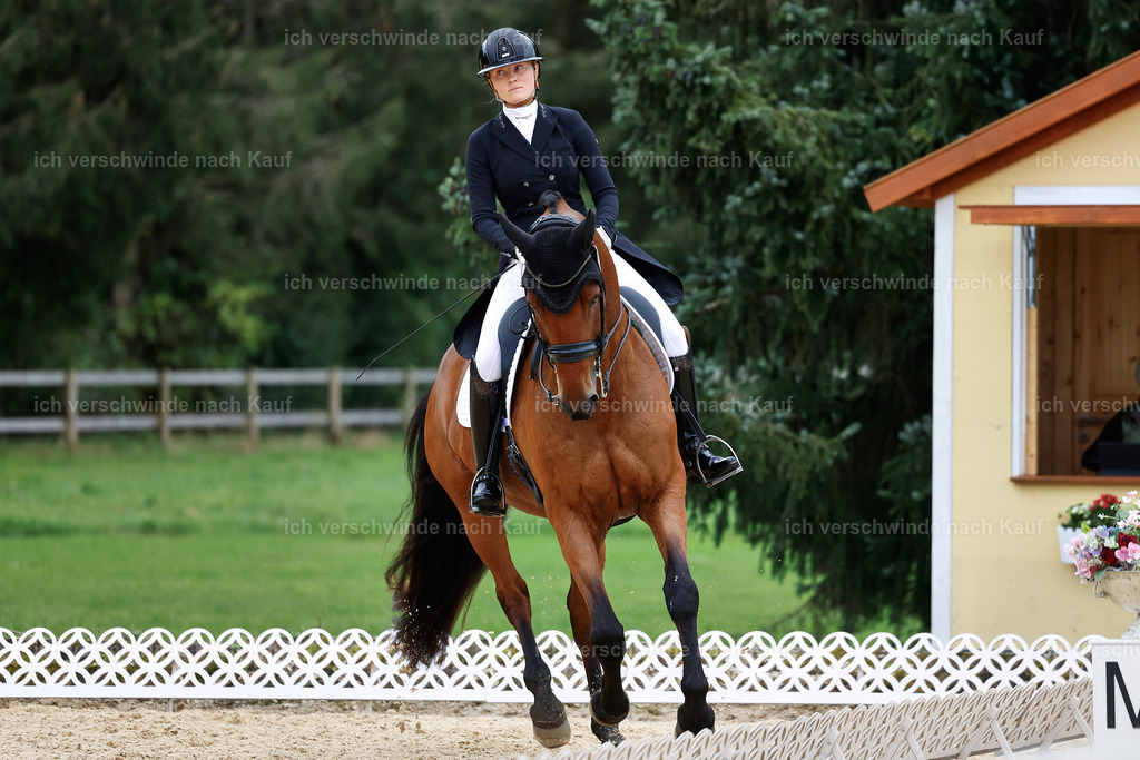 11-189-Dressur S___-StoibPH-912 | working equitationturnier fotograf videograf stoibphotography marixx film working equitation deutschland reitsport turnierfotografie eventfotografie equestrian events