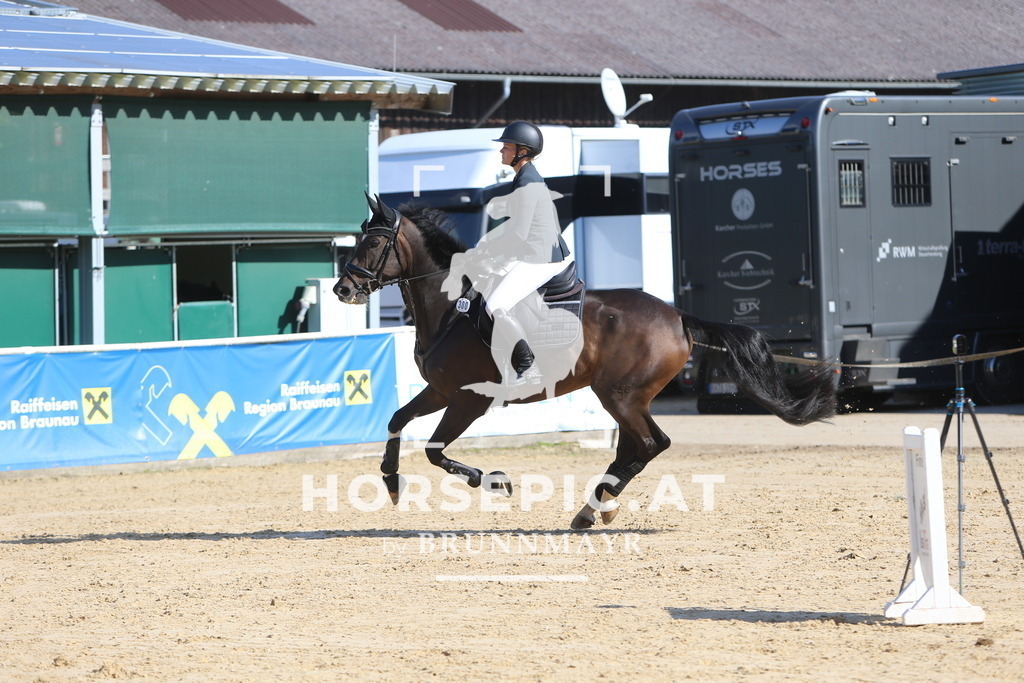 DL2Q5245 | Willkommen bei Brunnmayr - Design & Fotografie – Ihrem Spezialisten für Reitturniere und Pferdeveranstaltungen in Oberösterreich, Salzburg und Bayern! Seit über 17 Jahren sind wir leidenschaftlich dabei.