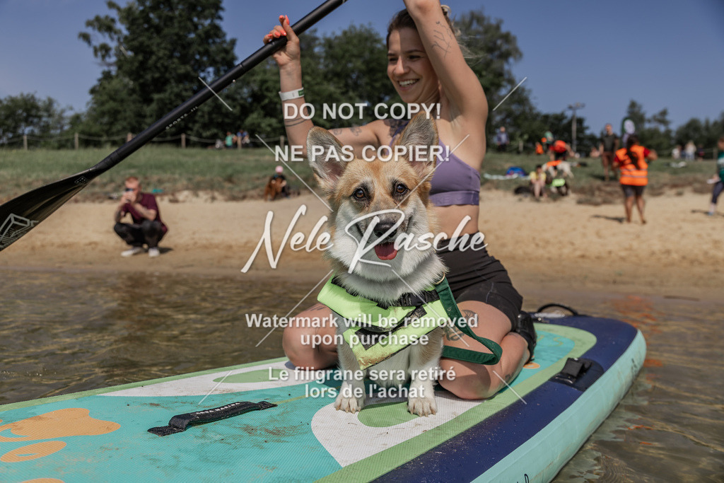 BUHU_SUP_440 | nelerasche