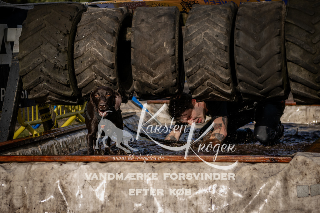1352_ZZ93297 | kk-dogfotos