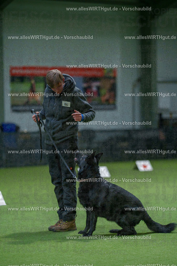 7R508124 | Professionelle Tierfotografie in Mönchengladbach von Daniel Wirth (allesWIRTHgut). Liebevolle & natürliche Bilder von Hunden & Katzen für unvergessliche Erinnerungen.