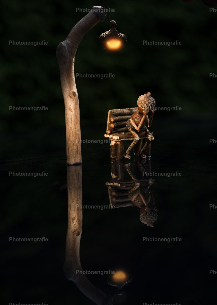 Manni vermisst Fipps | Photonengrafie´s Shop - Realisiert mit Pictrs.com