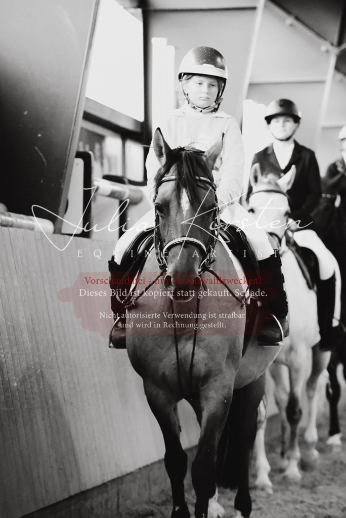 DSC_7521 | Pferde- und Turnierfotografie in Westsachsen. Pferdeportraits, Auftragszeichnungen und intuitive Kunst.