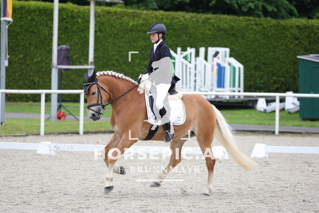 0P6A4402 | Willkommen bei Brunnmayr - Design & Fotografie – Ihrem Spezialisten für Reitturniere und Pferdeveranstaltungen in Oberösterreich, Salzburg und Bayern! Seit über 17 Jahren sind wir leidenschaftlich dabei.