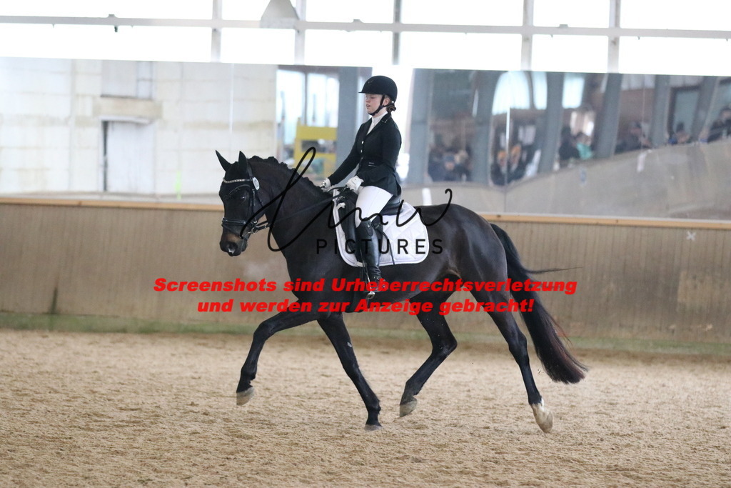 IMG_7886 | lmwpictures - Realisiert mit Pictrs.com